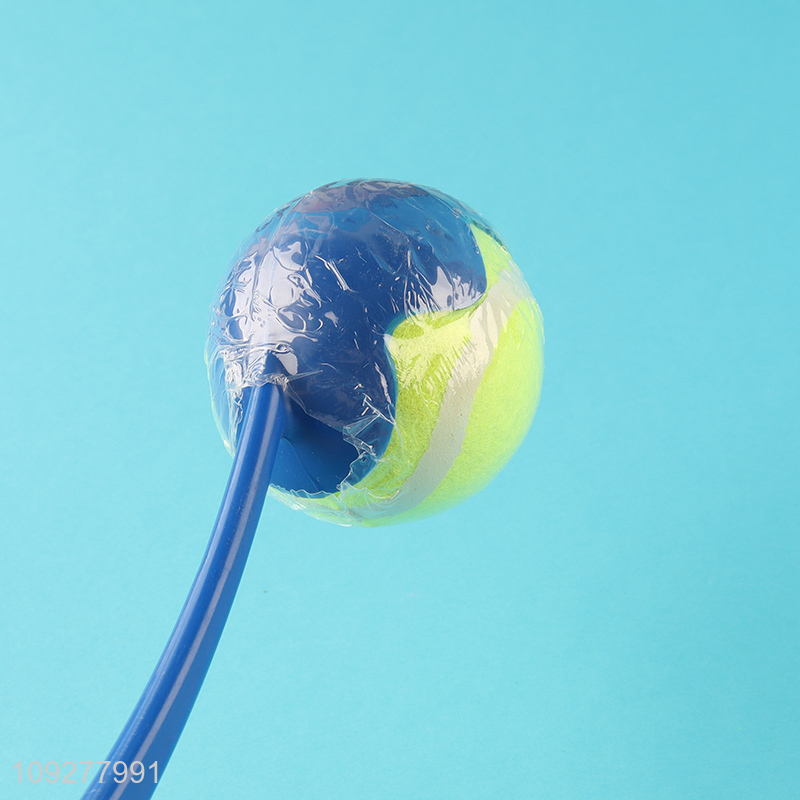 Low price outdoor pet throwing ball toys pet training toys