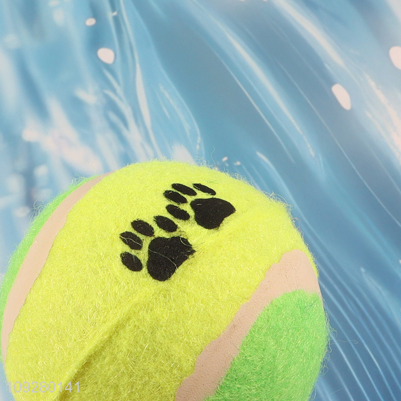 China wholesale pet training pet interactive toys pet ball toys