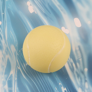 Popular products tpr pet interactive toys pet ball toys for outdoor