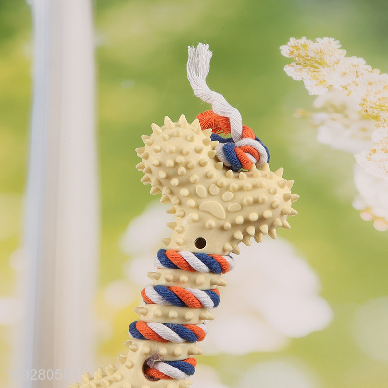 New product pet chew toys teething toys pet interactive toys