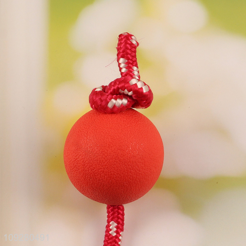 Good quality pet chew toys teething toys pet interactive toys