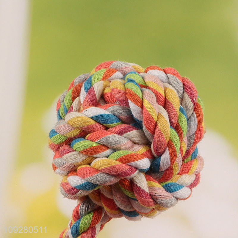 China wholesale bite-resistant pet chew toys teething toys