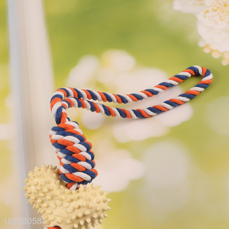 New product pet chew toys teething toys pet interactive toys