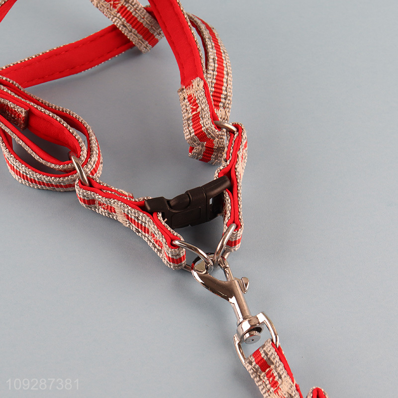 Top quality outdoor anti-lost pet collar pet leash