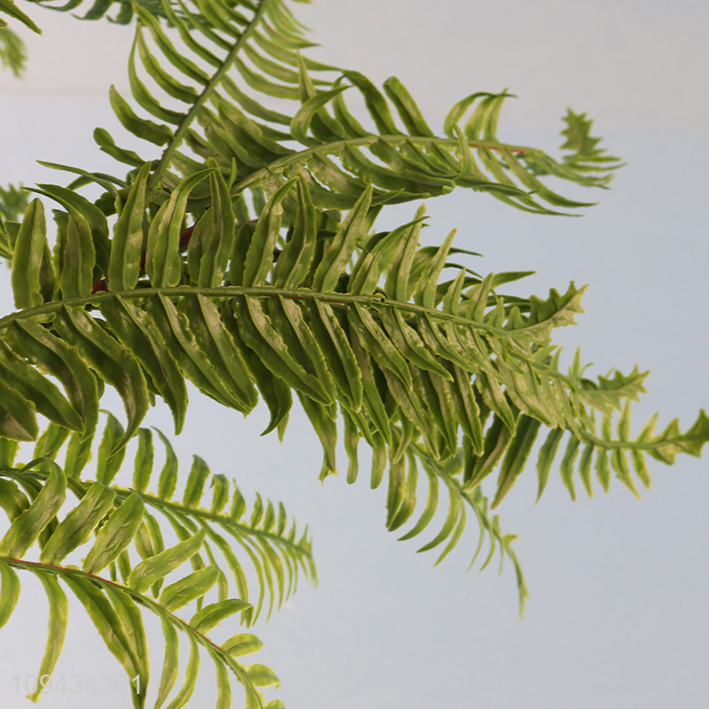 New arrival home decor artificial persian fern for sale